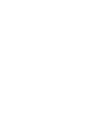 CargoPro TMS Logo